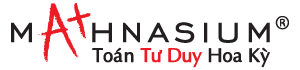 Mathnasium Việt Nam