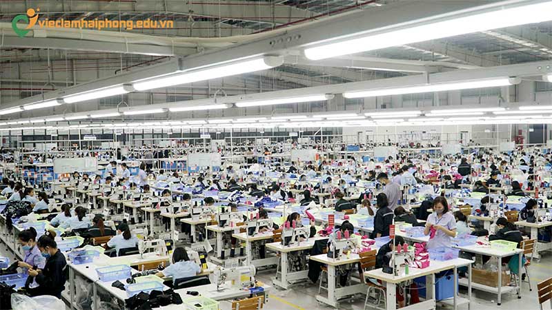 Các loại hình việc làm may mặc phổ biến tại Hải Phòng