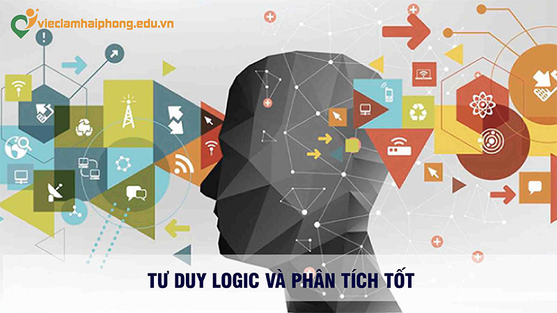 Yêu cầu của nhà tuyển dụng đối với việc làm xuất nhập khẩu Hải Phòng
