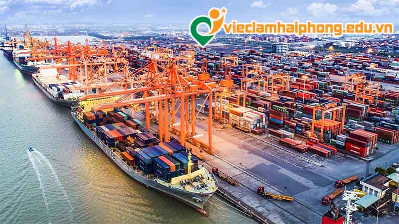 Các lĩnh vực việc làm Hải Phòng được săn đón nhiều nhất hiện nay